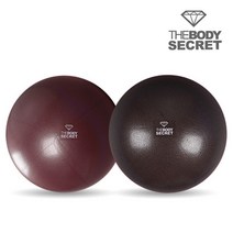 [더바디시크릿] 미니 짐볼 22cm 26cm 스트레칭짐볼