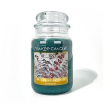 양키캔들 양키캔들 자캔들 라지자 대 유칼립투스 623g