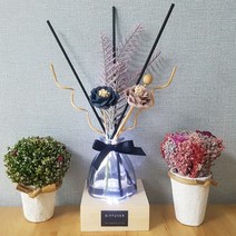 LED 장미 디퓨저 선물세트 마미하우스, 01_블랙체리향