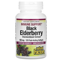 내추럴 팩터스 Natural Factors 블랙 엘더베리 100mg 캡슐 120정 US 직배송, 1PACKAGE, 상세참조