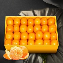 [보섭이네푸드] [1월17일 오전10시까지 주문시 명절전배송]가락시장 직송 제주 감귤 5k