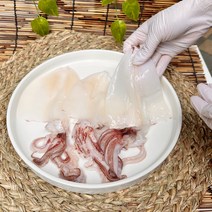 제주 한치 손질 냉동 한치회 물회 무침, 1팩, 500g