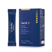 오늘굿잠 환 4g x 15포