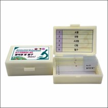 영구 프레파라트 혈액형 및 혈구(5pcs)