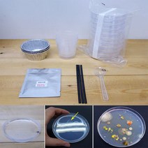 세균배양 배지 만들기 10인세트 일반세균 곰팡이 실습 과학실험키트 초등수학교구 학습재료