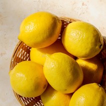 상큼한 수입산 레몬 10과 20과 30과 40과 벌크, 레몬 1kg(100g 10입)