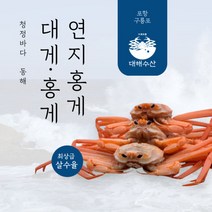 품질보증100% 품질좋은 살이꽉찬 홍게 대게(실속형/박달형)3차선별, 박달형3KG(10~12마리)(수율80%이상), 1박스