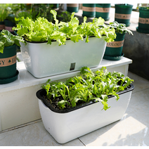 베란다 실내 텃밭 화분 아파트 옥상 집에서 대파 상추 토마토 키우기 자동급수 저면관수, SC02자동급수화분(소형)