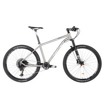 산악 티타늄 로드 초 경량 자전거 팻 바이크 도매 트위터 werner sram sx 12s 유압 디스크 브레이크 29er 합금, 티탄, 29인치 15인치, 12, [01] Titanium