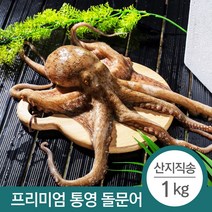 구매평 좋은 문어url통영돌문어숙회 추천순위 TOP 8 소개