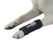 [미라이프] 오르토카니스 강아지 앞발목 고정 보호대 동물용의료기기 ORTOCANIS ORT002, S