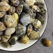 육수용 냉동 피바지락 500g