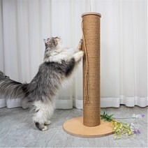 캣츄얼 고양이 삼줄 원목 기둥형 스크래쳐 중형, 혼합색상, 1개