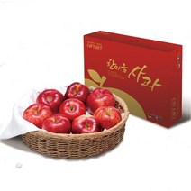 2023설 남도장터 에코한마음 저탄소 장성사과 5kg (13-14과/부사 선물용)