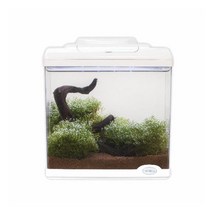 히로세 투명플라스틱 리코 수족관 25x17x28.5cm RICO-L25