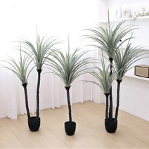 고급 인조나무 조화화분 드라세나 드라코 3size, 드라세나 드라코 165cm, 1개