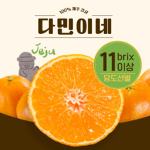 [다민이네]제주 서귀포 노지 조생 감귤 3kg 5kg (실중량 2.5kg 4.5kg), 1개, 3kg(프리미엄과S)