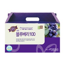 블루베리즙 4개월분 블루베리농축액, 120포, 80ml