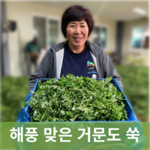 [신진농산] 여수 거문도 쑥 산지직송 해풍 맞은 생쑥 2kg