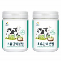 콜로스트럼 초유 단백질 분말 프로틴 파우더 쉐이크