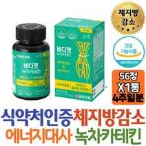 20대 예신 기초대사량 UP 일양 바디팻 녹차카테킨 체지방감소 도움 뱃살 팔뚝살 윗배 아랫배 한달다이어트 추천 20대 30대 남자 여자 예비신부 여름 휴가 방법 예신 주부 가르니시아