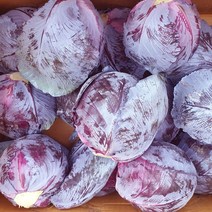 유기농 적양배추 적채 3kg 5kg 국내산 친환경 적양배추, 친환경 유기농 적양배추 3kg