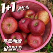 1+1 (2박스) 껍질채먹는 신선한 달콤한 아삭아삭 과즙 넘치는 꿀사과 부사 흠집 가정용 못난이 5키로 5kg 10키로 10kg 한박스