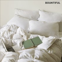 바운티풀 특급호텔 구스페더 베개솜 1000g, 화이트
