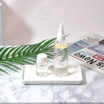 에클라스 명품향 디퓨저 리필 100ml, 리필 랑방 아르페쥬 100ml