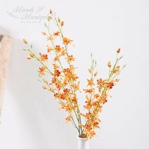 마쉬매리골드조화 범부채 66CM FM408-0248, 단품
