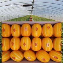 [ 산지직송 공주네 ] 성주참외 당도선별 꿀 참외 1kg 2kg 4kg 5kg 10kg 가정용 선물용 참외, 1box, 02.참외 가정용/크기혼합 2kg