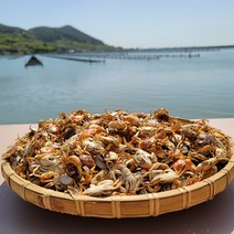 가덕도농수산 국내산 자연 해풍 건조 꽃게 미니게 베이비크랩 구수한 다시 육수 국물용, 03.지퍼팩 포장 미니건조게 500g, 1개