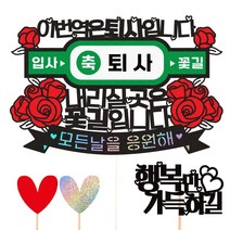비비드레인 퇴사 케이크토퍼, 141-이번역은퇴사+픽3개