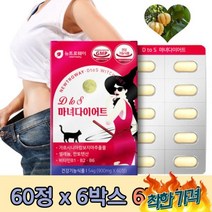 부모님 50대 똥배 내장지방컷팅 DIET식품 뱃살빼는법 하이드록시시트르산 지방제 피하지방
