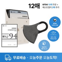[오늘주문 오늘도착] 시노펙스 KF94 여름용 숨쉬기편한 10매+2매 추가증정, KF94다크그레이대형(L) 10매