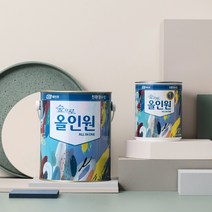 KCC 숲으로 올인원 0.9L 친환경페인트 실크벽지페인트 가구 방문 몰딩 철재 방화문, [반광]흑색