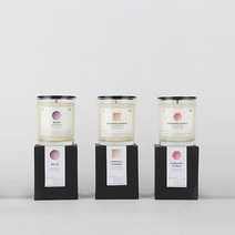 내몸에휴 천연 인테리어 수제향초 소이캔들, 포커스앤프레쉬(상쾌한 쿨민트