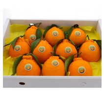 넉넉/(넉넉)한라봉 선물세트 1.5KG 소과(10-12과 내외)/롯데백화점, 1개