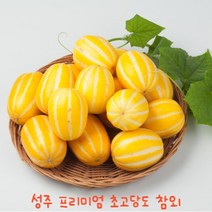 씨푸룻 산지직송 고품질 초고당도 성주 꿀맛 참외, 정품로얄과, 5kg