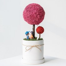 스칸디아모스 빅플랜트 화분 식물 플랜테리어 대형 토피어리 개업선물 집들이선물, 03_씨클라멘
