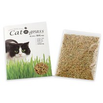 식물키우기 키우기쉬운 고양이풀 캣닢 씨앗, 귀리