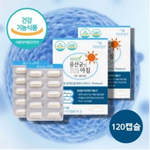 제3세대 장용성 김치 유래 어르신 어른 60대 유산균 수 엔테로코커스 패시움 락토바실러스 플란타룸 아시도필러스 균 프로프리 신 바이오틱스 바이오스틱 분말 가루, 유산균 60캡슐 X 2박스