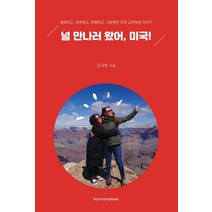 널 만나러 왔어 미국!:대화하고 공부하고 여행하고 사랑했던 미국 교환학생 이야기, 하모니북, 김나영