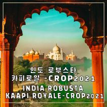 (커피생두) 66 인도 로부스타 카피로얄 커피생두-CROP2021 500g, 1개