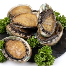 완도 활 전복 제철 1kg 산지직송, 1)전복 특대 8~9미 1kg, 1개