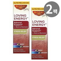 Bioray 바이오레이 러빙 에너지 아드레날 서포트 60ml 2팩