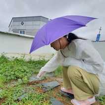 수동 우산 패션 소품 머리에 쓰는 모자 소형 퍼플 머리에쓰는 파라솔