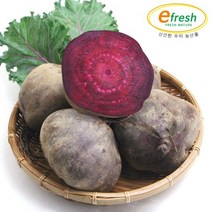 [KT알파쇼핑]아삭아삭 비트 10kg / 개당 400g 내외, 단일상품_농산물 중량_상세페이지참조