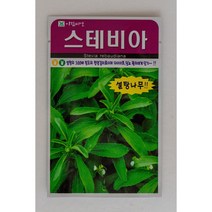 아람종묘 스테비아 씨앗 50립