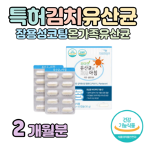 하루 1알 200억 투입 프로바이오틱스 유산균 신바이오틱스 장용성 캡슐 2중 코팅 김치 유래 유산균 온가족 패밀리 유산균 면역 아연 셀렌 세포 보호 홈쇼핑 프리미엄 영양제 비교, 2개월치, 500mg x 60정 (하루1캡슐)